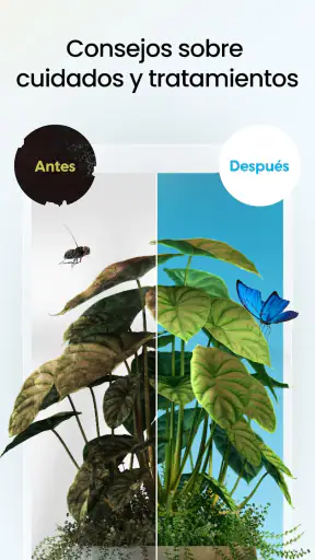 PlantApp: Identifica plantas screenshot