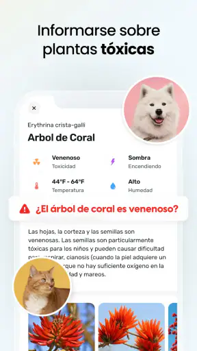 PlantApp: Identifica plantas screenshot