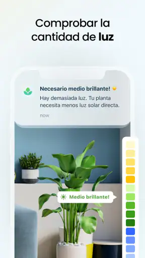 PlantApp: Identifica plantas screenshot