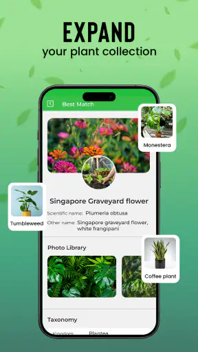 Plantas Identificador cuidado screenshot