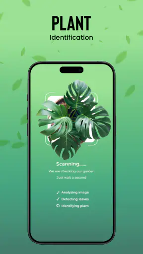 Plantas Identificador cuidado screenshot