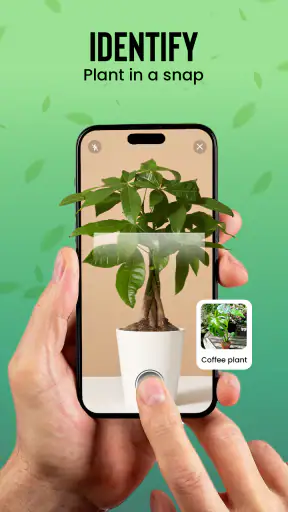Plantas Identificador cuidado screenshot