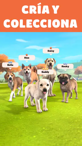 Pocket Paws: perros adorables screenshot