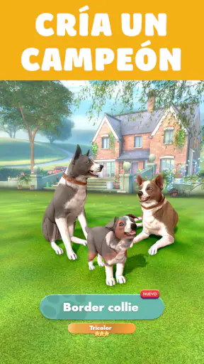 Pocket Paws: perros adorables screenshot