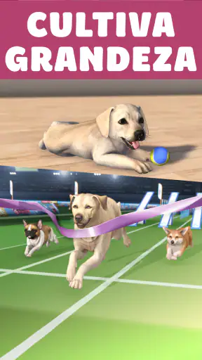 Pocket Paws: perros adorables screenshot