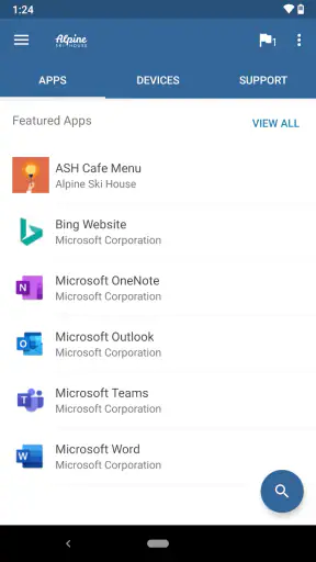 Portal empresa Intune screenshot