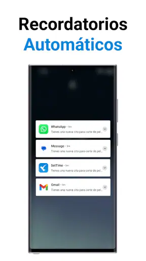 Programador de citas screenshot