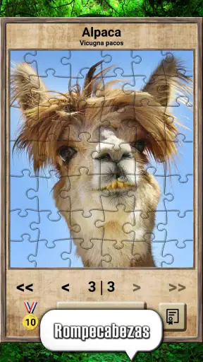 Quiz del reino animal screenshot