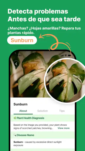 Reconocimiento De Plantas App screenshot