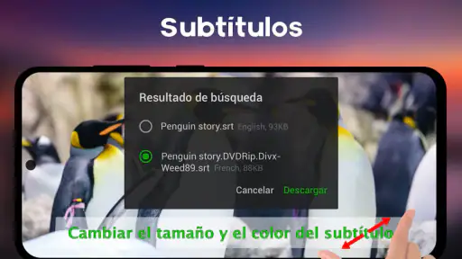 Reproductor de Vídeo y Música screenshot