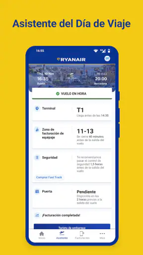 Ryanair screenshot