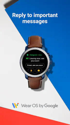 Smartwatch Wear OS by Google screenshot
