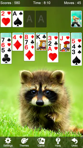 Solitaire - Solitario Clásico screenshot