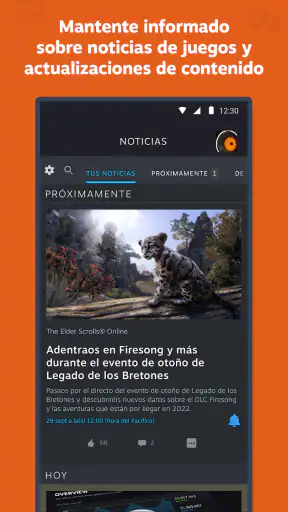 Steam screenshot