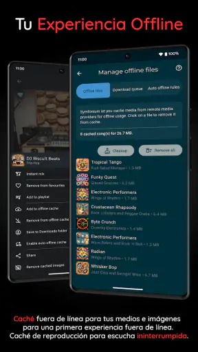 Symfonium: Reproductor musical screenshot
