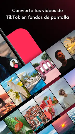 TickTock-TikTok Live Wallpaper screenshot