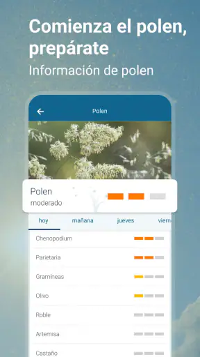 Tiempo & Radar Pro: previsión screenshot