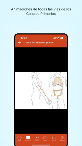 Un Manual de Acupuntura 2025 screenshot