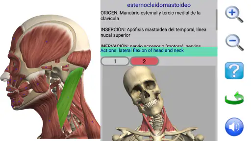 Visual Anatomy 2 screenshot