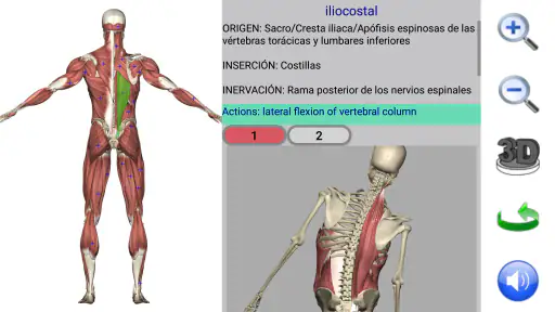 Visual Anatomy 2 screenshot