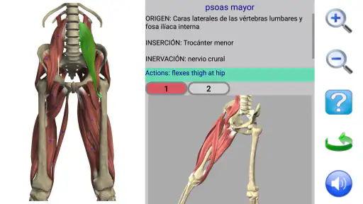 Visual Anatomy 2 screenshot