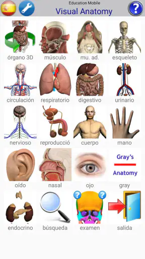 Visual Anatomy 2 screenshot