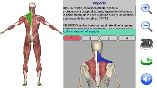 Visual Anatomy 2 screenshot