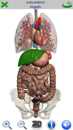 Visual Anatomy 2 screenshot