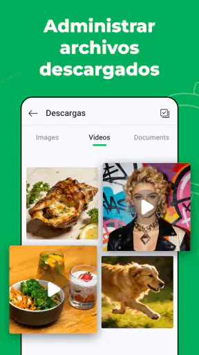 Web Scanner – Chat Dual screenshot