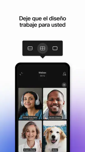 Webex screenshot