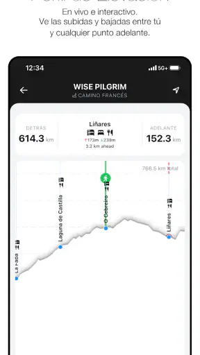 Wise Pilgrim Camino Francés screenshot