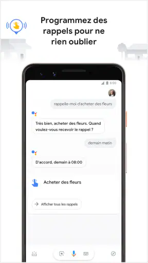 Assistant Google screenshot