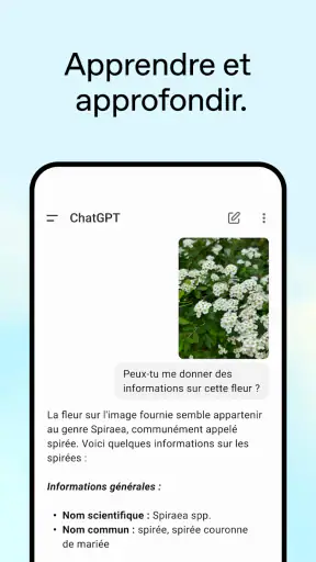 ChatGPT screenshot