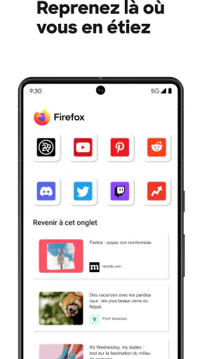 Firefox : Navigateur privé screenshot