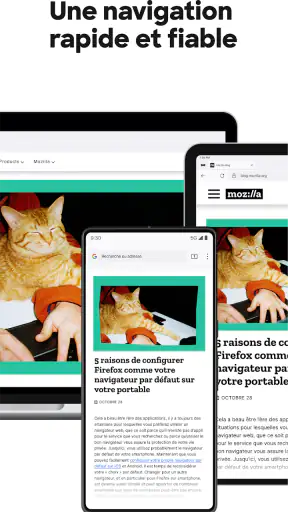 Firefox : Navigateur privé screenshot