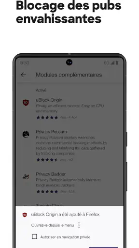 Firefox : Navigateur privé screenshot
