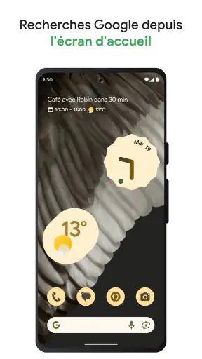 Google screenshot