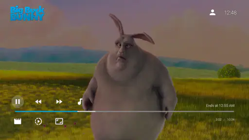 Jellyfin for Android TV screenshot