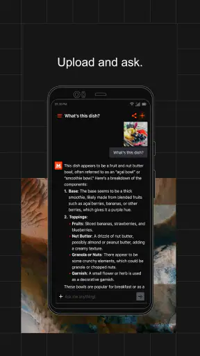 Mistral Vibe (ex-Le Chat) screenshot