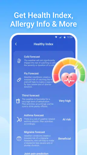 Local Weather: Radar et widget screenshot