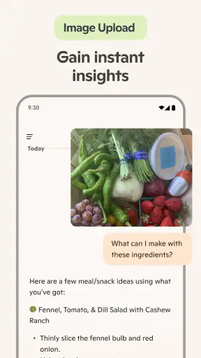 Microsoft Copilot IA Assistant screenshot