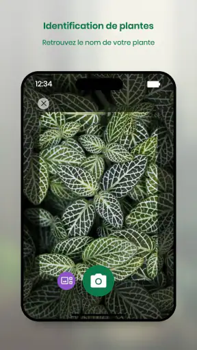 Monstera - Guide de plantes screenshot