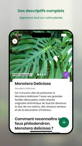 Monstera - Guide de plantes screenshot
