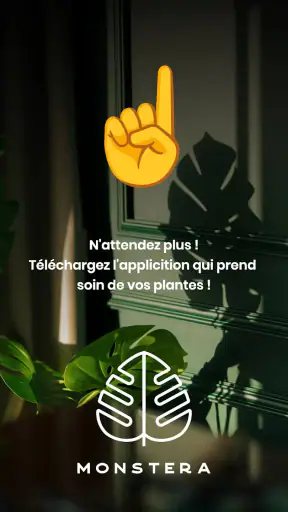 Monstera - Guide de plantes screenshot
