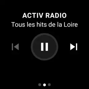 Radio Player France screenshot