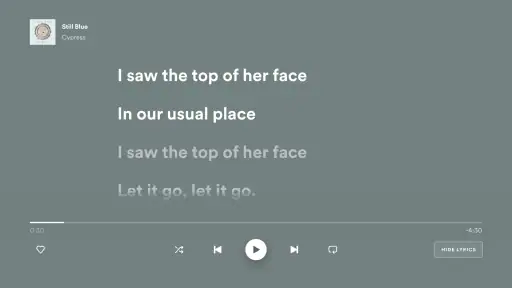 Spotify Music pour Android TV screenshot