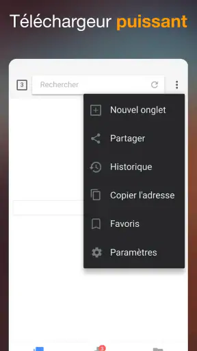 Téléchargeur de Vidéo screenshot