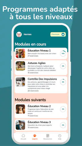 Woof Learn - Education chien screenshot