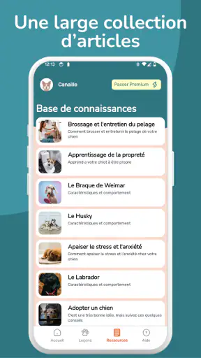 Woof Learn - Education chien screenshot