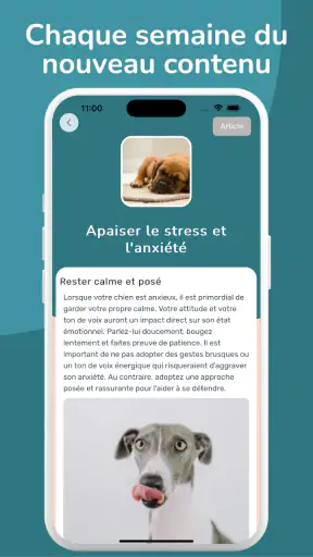 Woof Learn - Education chien screenshot